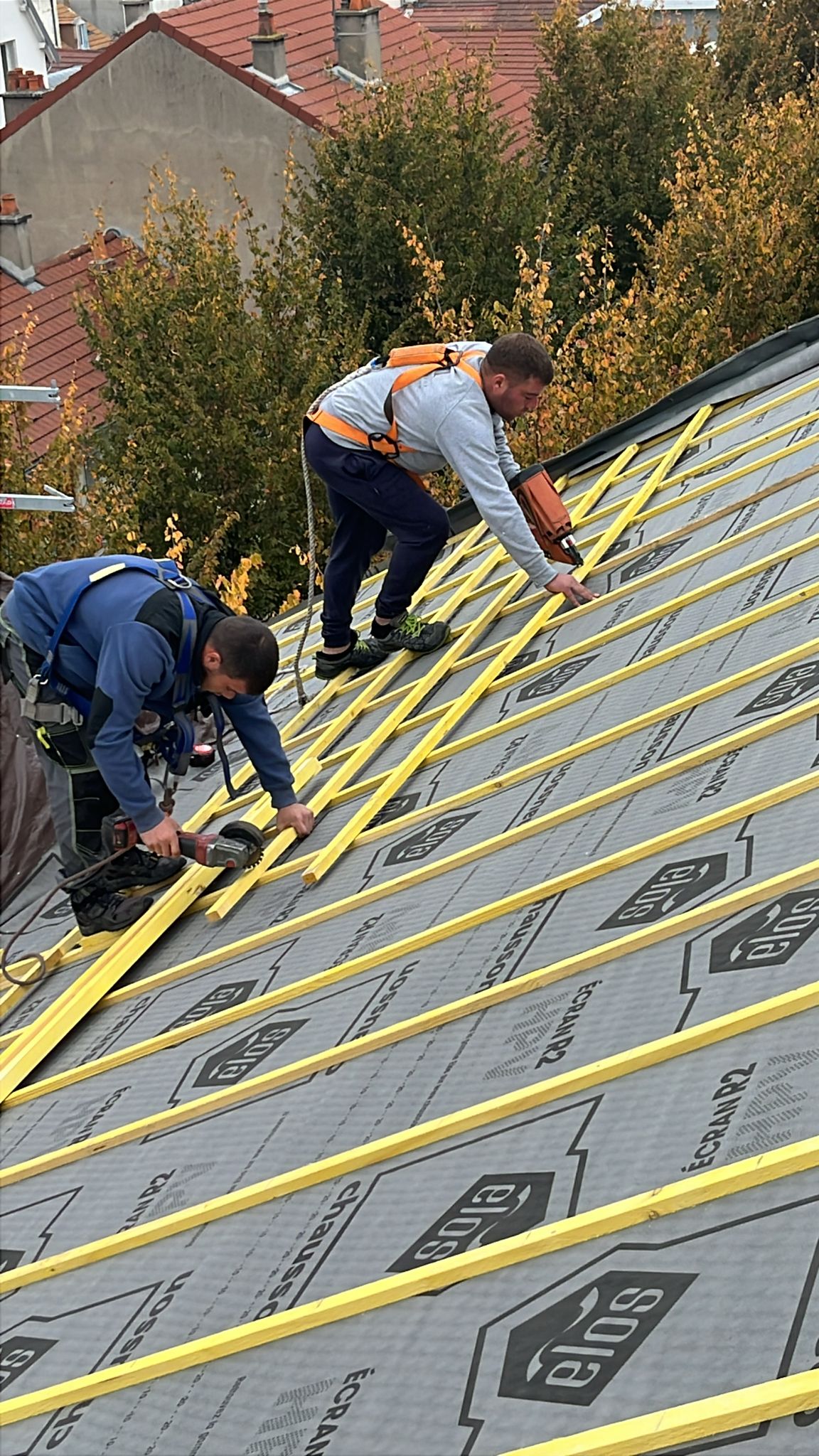 PHOTO 2025 10 09 15 39 57 3